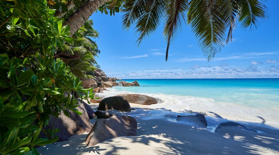 seychelles